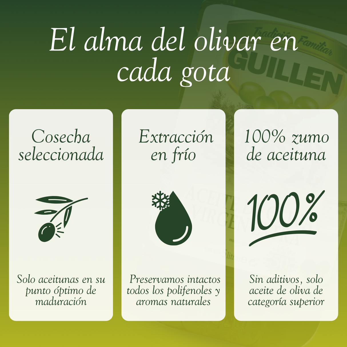 Aceite de Oliva Virgen Extra Guillén en Garrafa de 5L