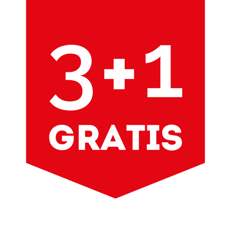 3+1